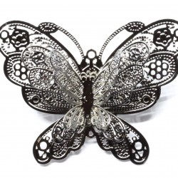 Haaknõel-pross liblikas